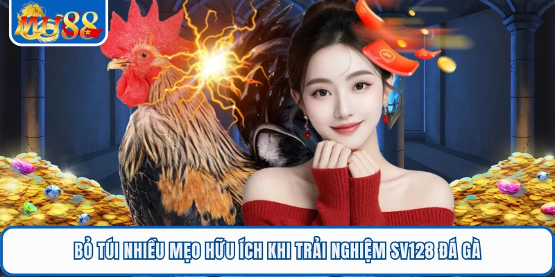 SV128 Đá Gà - Trải Nghiệm Xem Gà Trực Tuyến Tại MU88 2 Bỏ túi nhiều mẹo hữu ích khi trải nghiệm SV128 đá gà