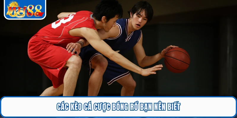 Cá Cược Bóng Rổ MU88 - Theo Dõi Tỷ Lệ Nhanh Từng Phút 1 Các kèo cá cược bóng rổ bạn nên biết