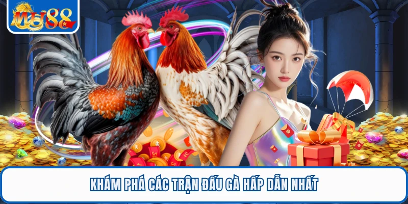 WS168 Đá Gà - Sảnh Giải Trí Thu Hút Đông Đảo Hội Viên MU88 2 Khám phá các trận đấu gà hấp dẫn nhất