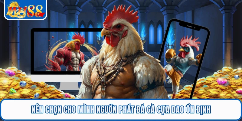 Đá Gà Cựa Dao - Trải Nghiệm Theo Dõi Hấp Dẫn Tại MU88 3 Nên chọn cho mình nguồn phát đá gà cựa dao ổn định