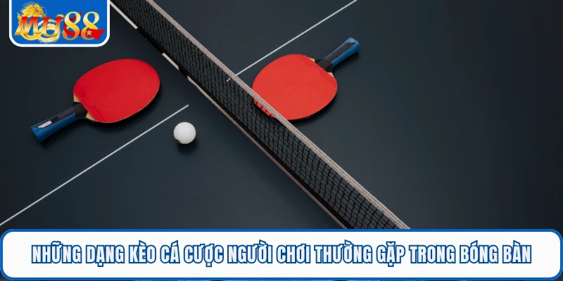 Cá Cược Bóng Bàn Kịch Tính Từng Pha Bóng Siêu Tốc Tại MU88 2 Những dạng kèo cá cược người chơi thường gặp trong bóng bàn