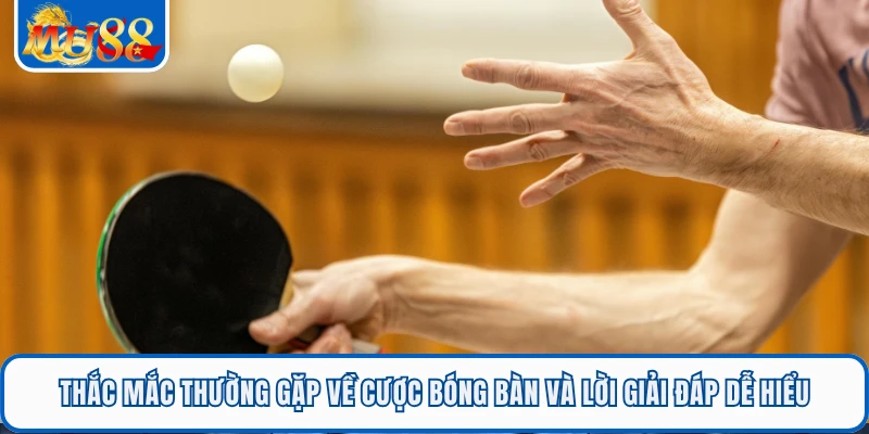 Cá Cược Bóng Bàn Kịch Tính Từng Pha Bóng Siêu Tốc Tại MU88 3 Thắc mắc thường gặp về cược bóng bàn và lời giải đáp dễ hiểu