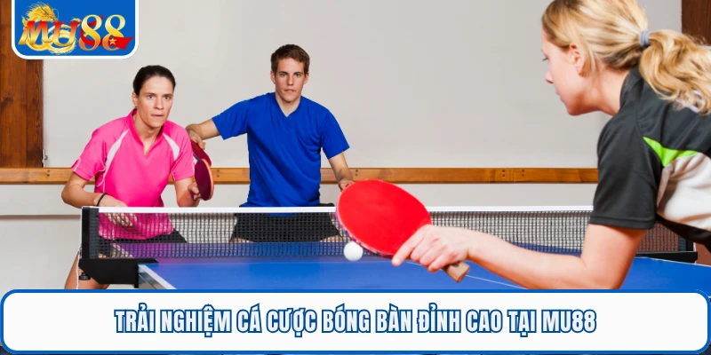 Cá Cược Bóng Bàn Kịch Tính Từng Pha Bóng Siêu Tốc Tại MU88 1 Trải nghiệm cá cược bóng bàn đỉnh cao tại MU88